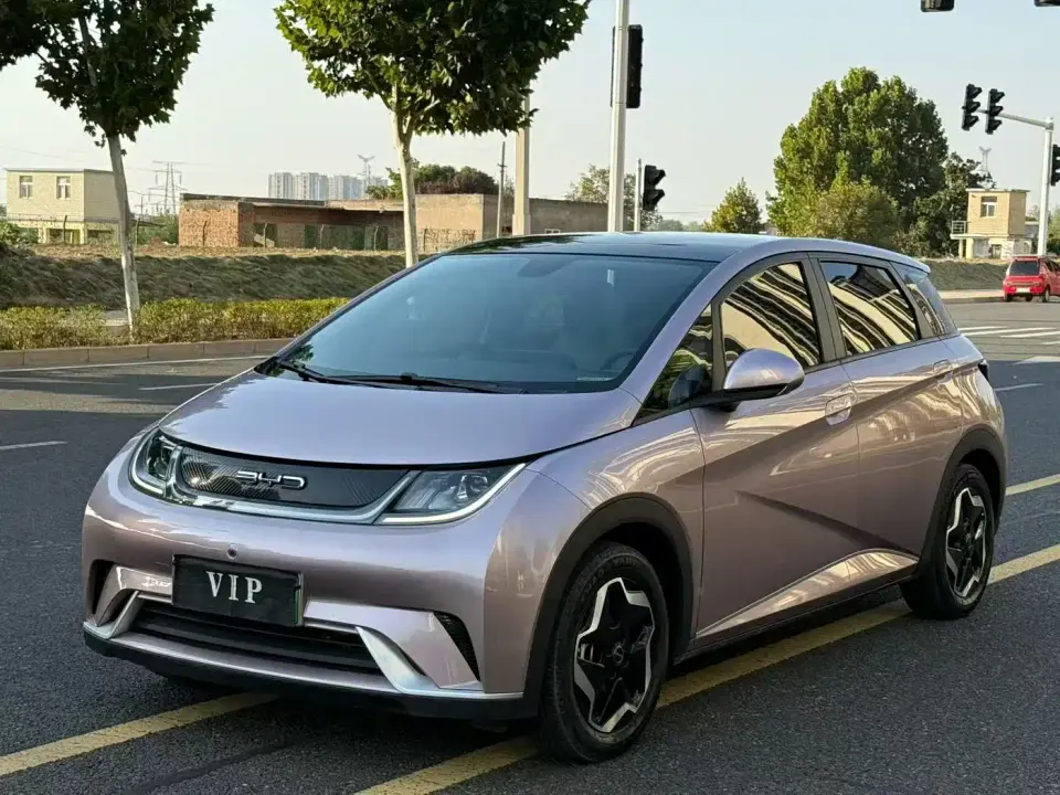 BYD Dolphin Model 405km Fashion Edition 2022