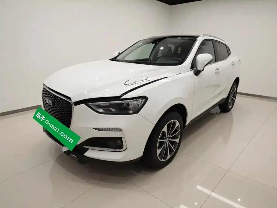 Haval F5 National Trend Edition 1.5T iTrend China VI 2019