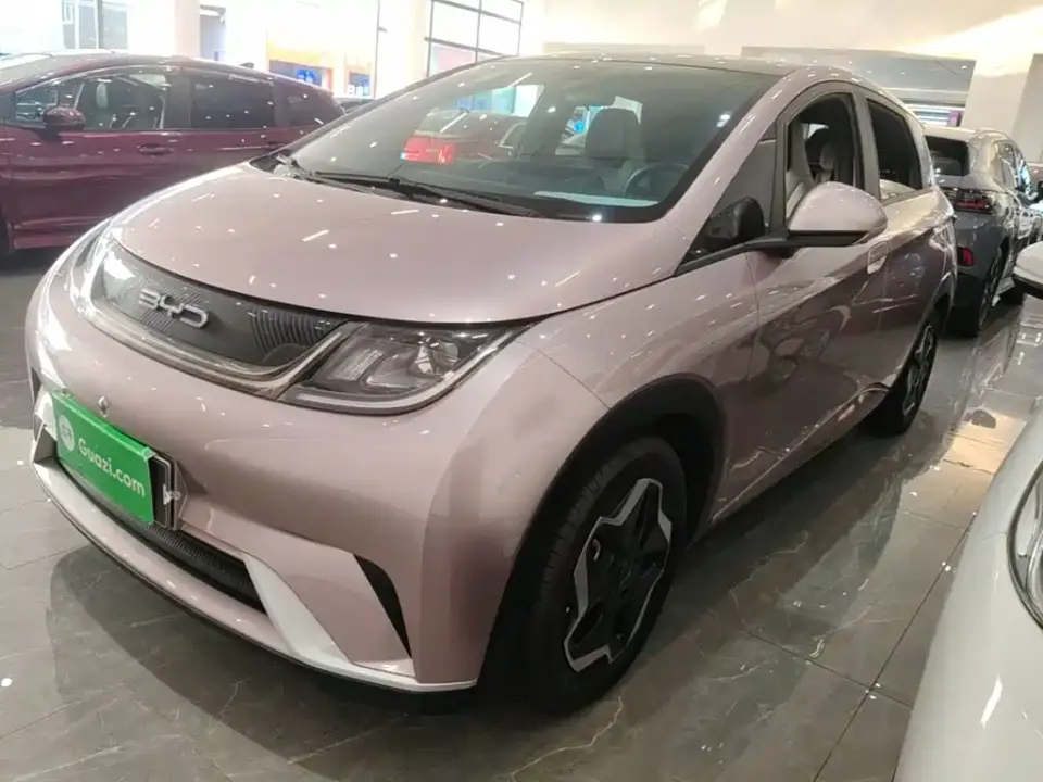 BYD Dolphin Model 405km Fashion Edition 2022