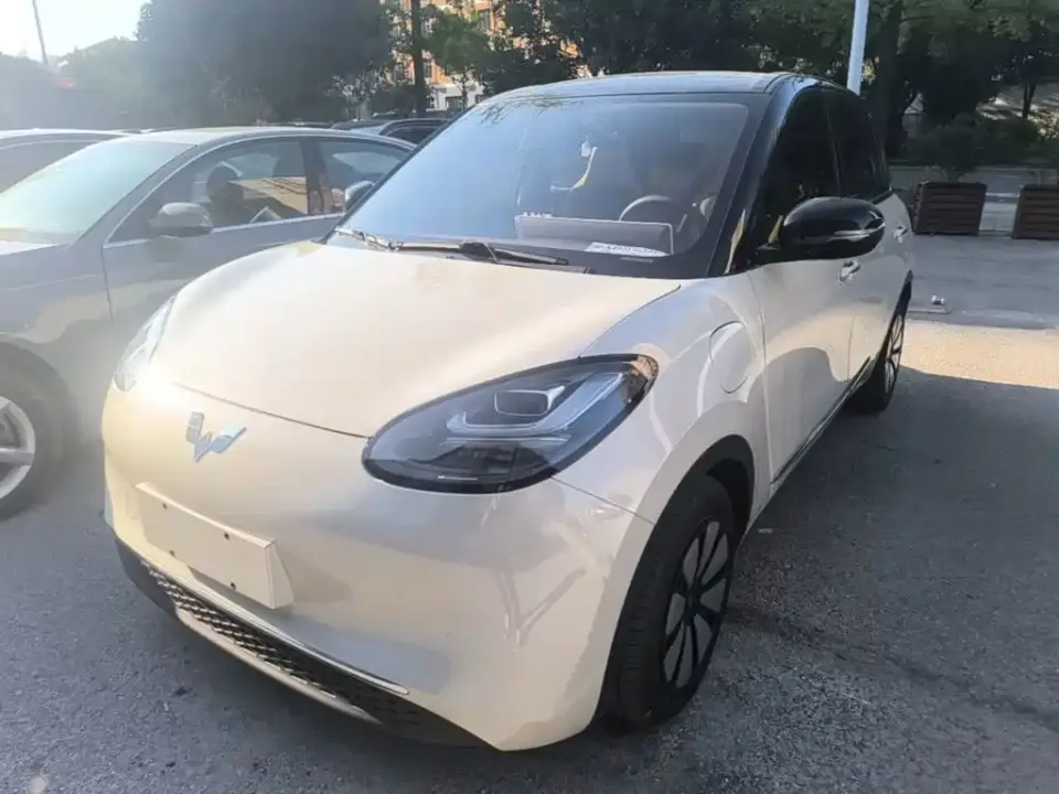 Wuling Motors Wuling Bingo 333km Smart Connect Edition 2024