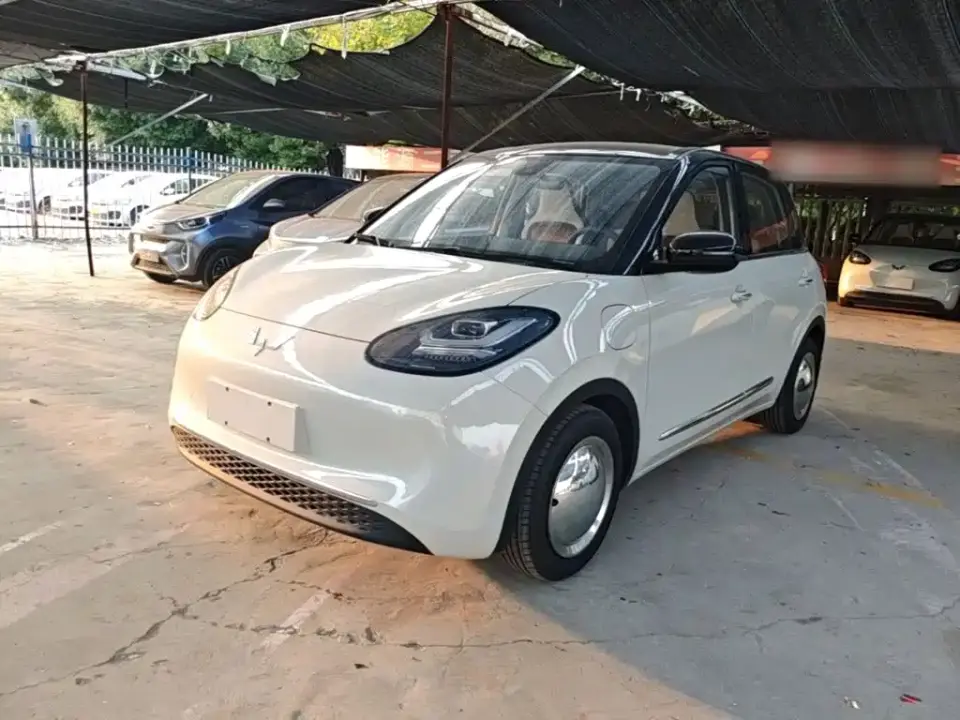 Wuling Motors Wuling Bingo Model 333km Telepathic Connect+ Version 2023
