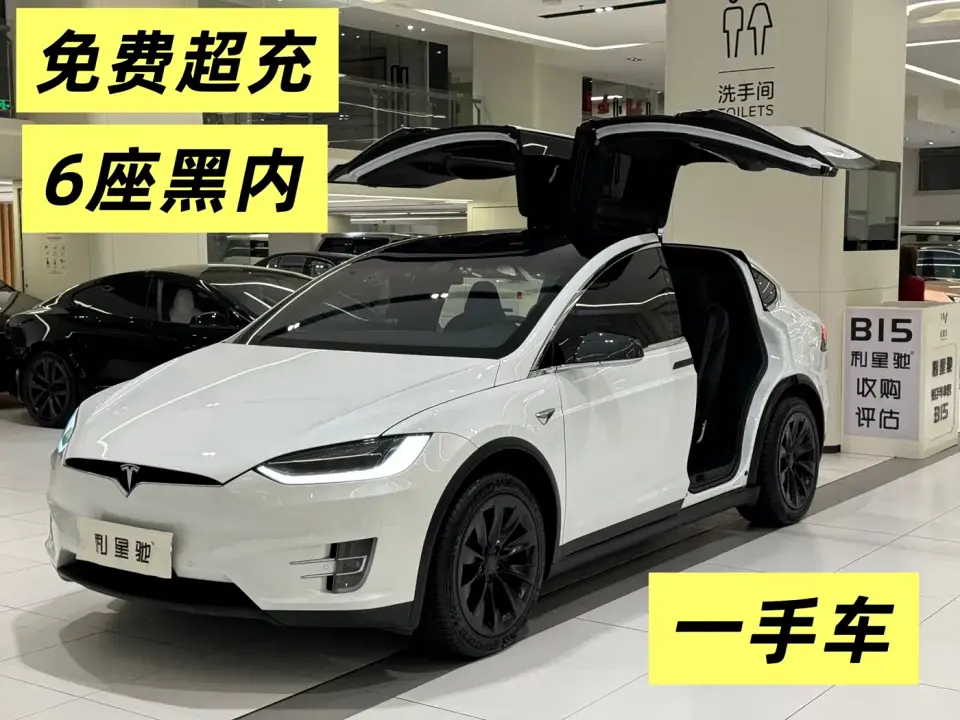 Tesla Model X Model X 100D Long Range 2019