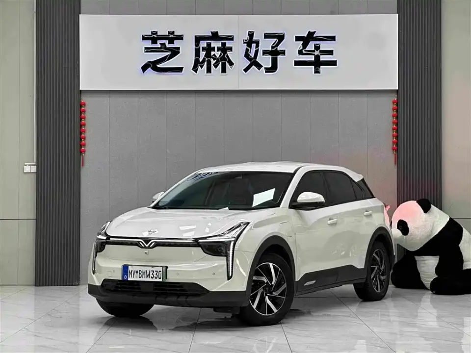 Neta U Pro 500 Premium Driving Edition 2022