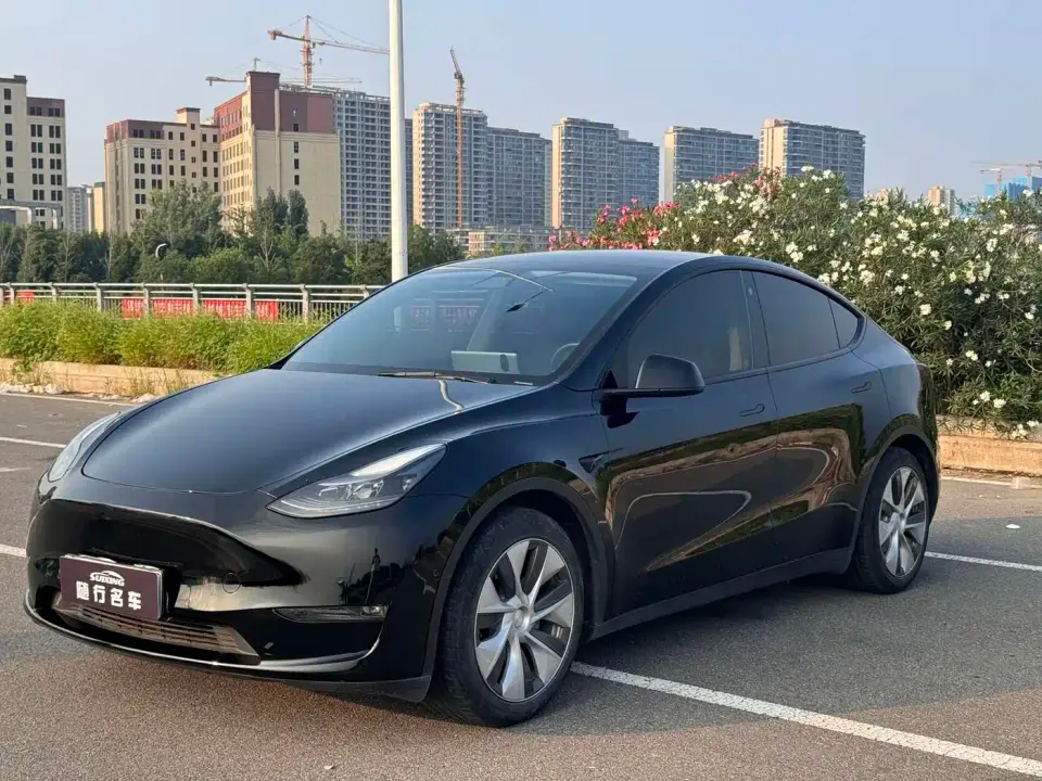 Tesla Model Y Standard Range Rear-Wheel Drive 2021