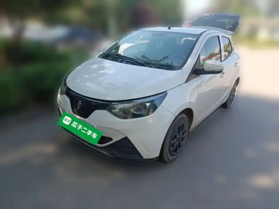JMCG New Energy Little Kirin Model Lucky Edition 201km Luxury 2024