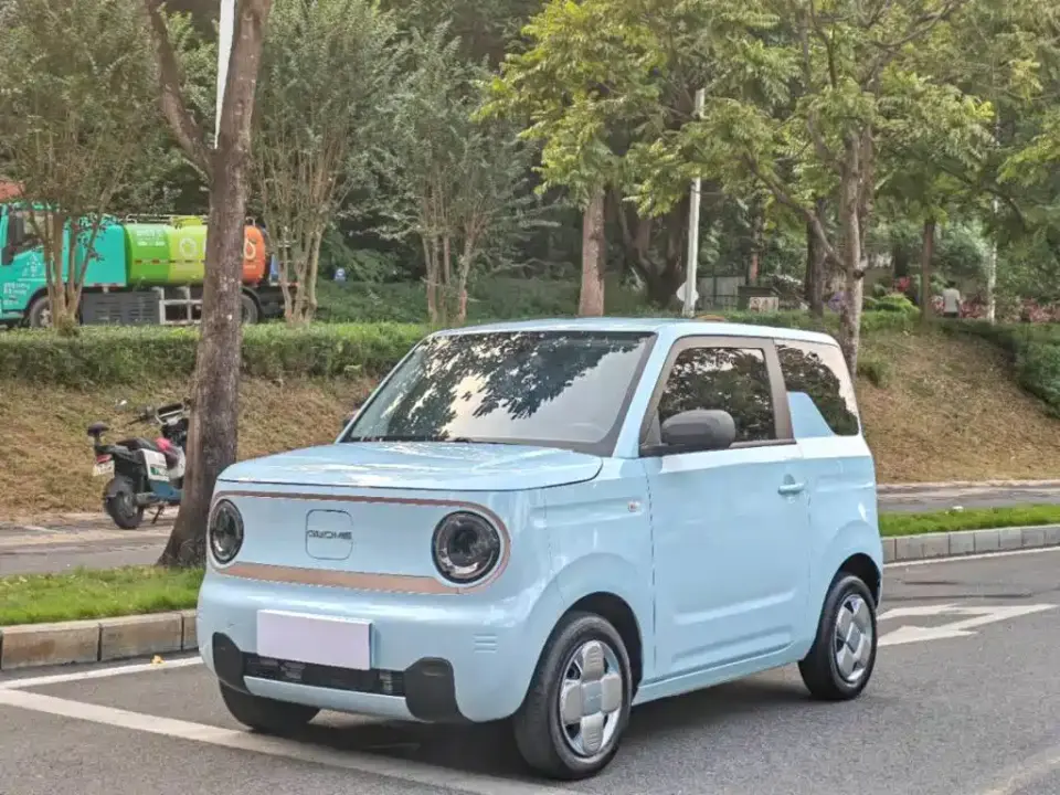 Geely Galaxy Panda Panda Mini 200km Endurance Bear 2024