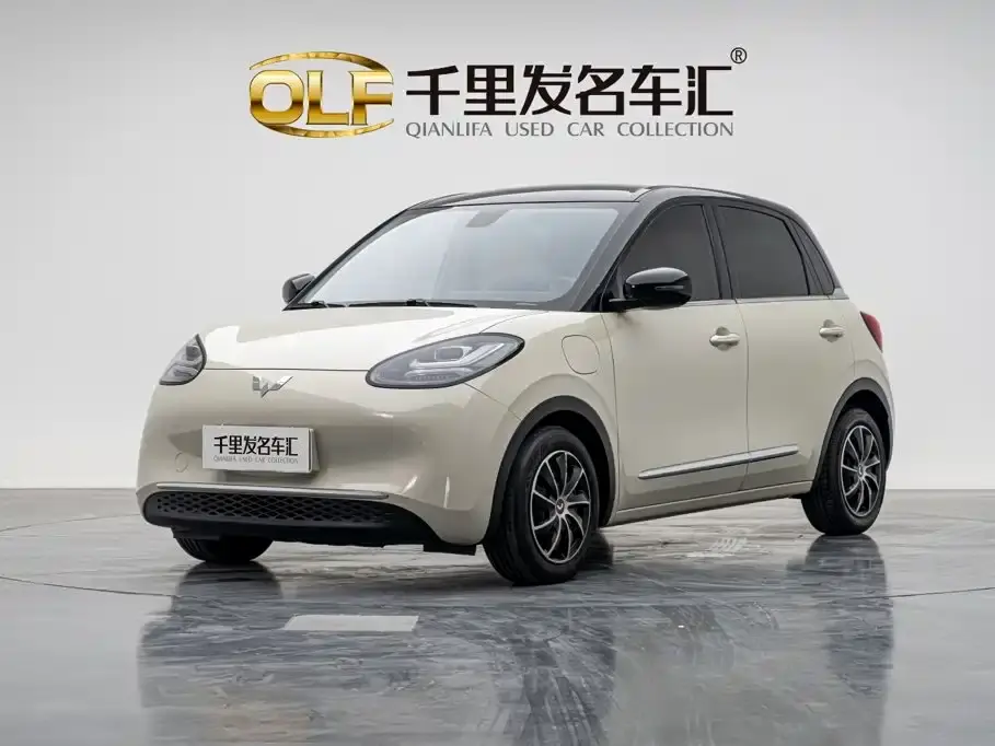 Wuling Motors Wuling Bingo 410km Lingxi Premium Edition 2024
