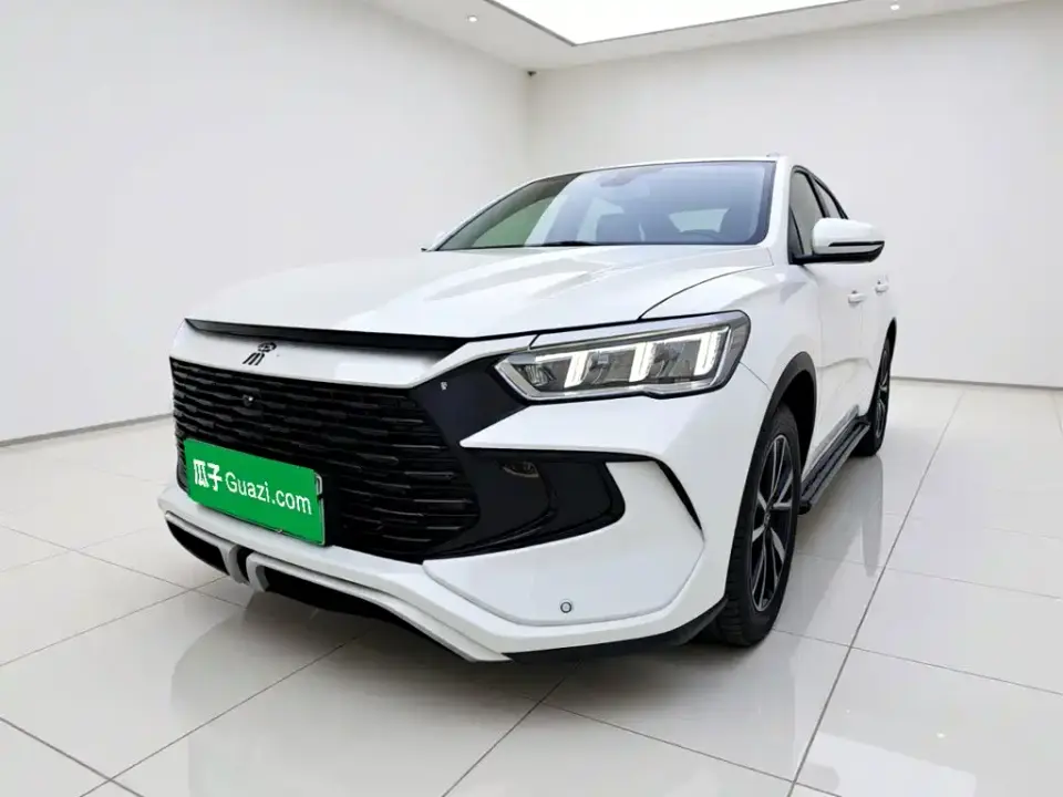 BYD Song Pro New Energy Glory Edition DM-i 71KM Pilot 2024