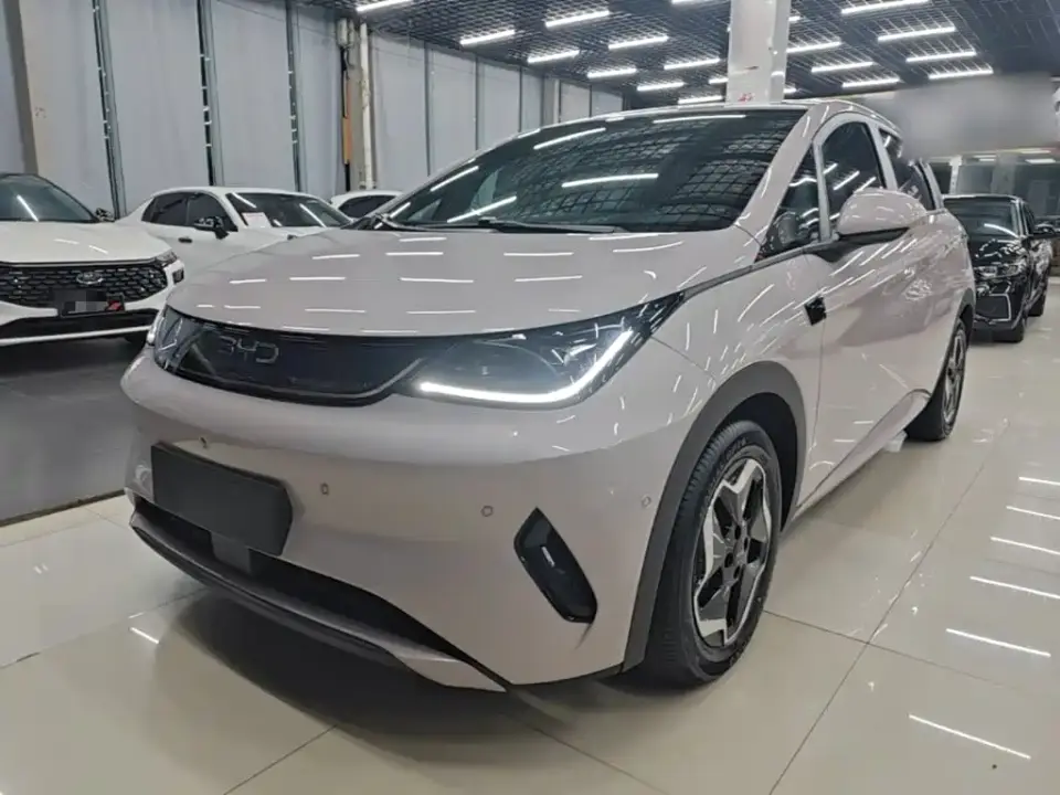 BYD Dolphin Smart Drive Edition 420km Freedom Version 2025