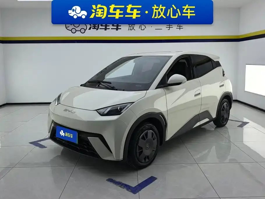 BYD Seagull Vitality Edition 2024