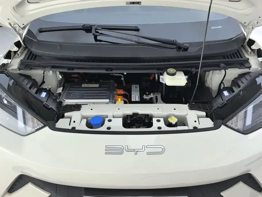 BYD Seagull Vitality Edition 2024 — фото 10