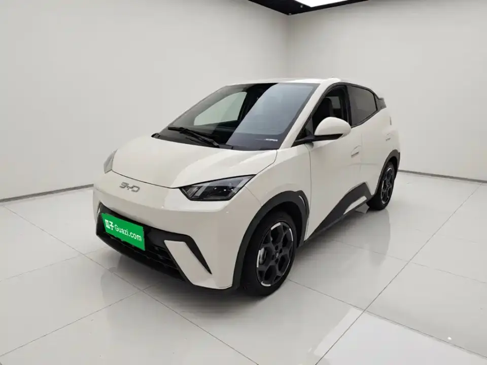 BYD Seagull 305km Freedom 2024