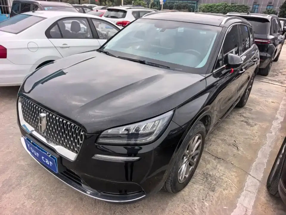 Lincoln Adventurer 2.0T 2WD Premium Enjoyment Edition 2020