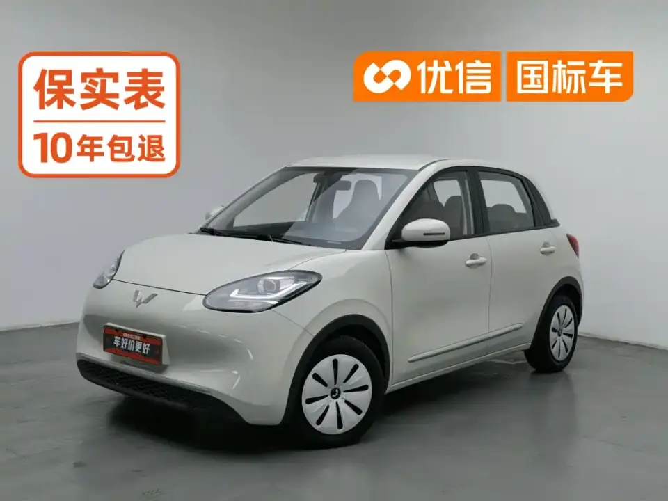 Wuling Motors Wuling Bingo Model 203km Lite Enjoyment Edition 2023
