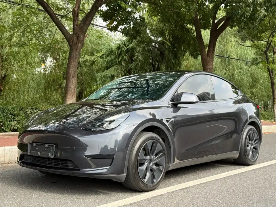 Tesla Model Y Rear-Wheel Drive Version 2024
