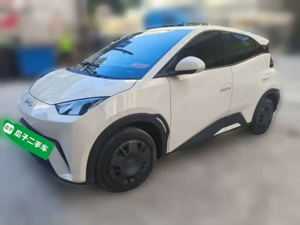 BYD Seagull Glory Edition 305km Vitality Edition 2024