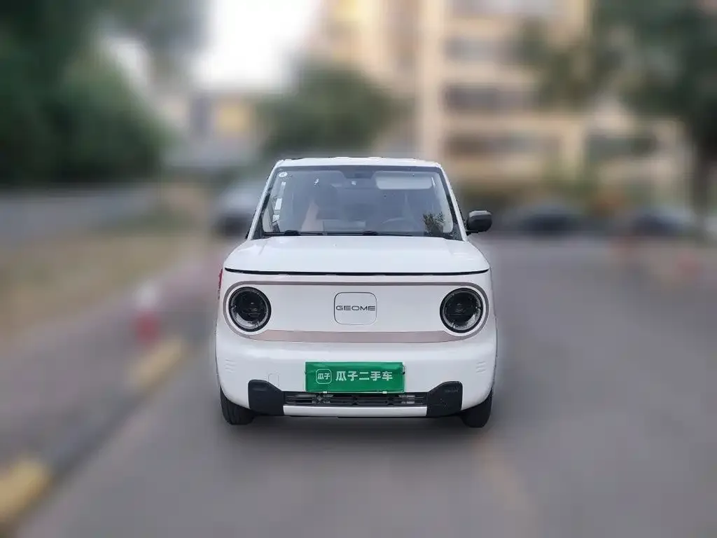 Geely Galaxy Panda Panda Mini 200km Endurance Bear 2023 — фото 2