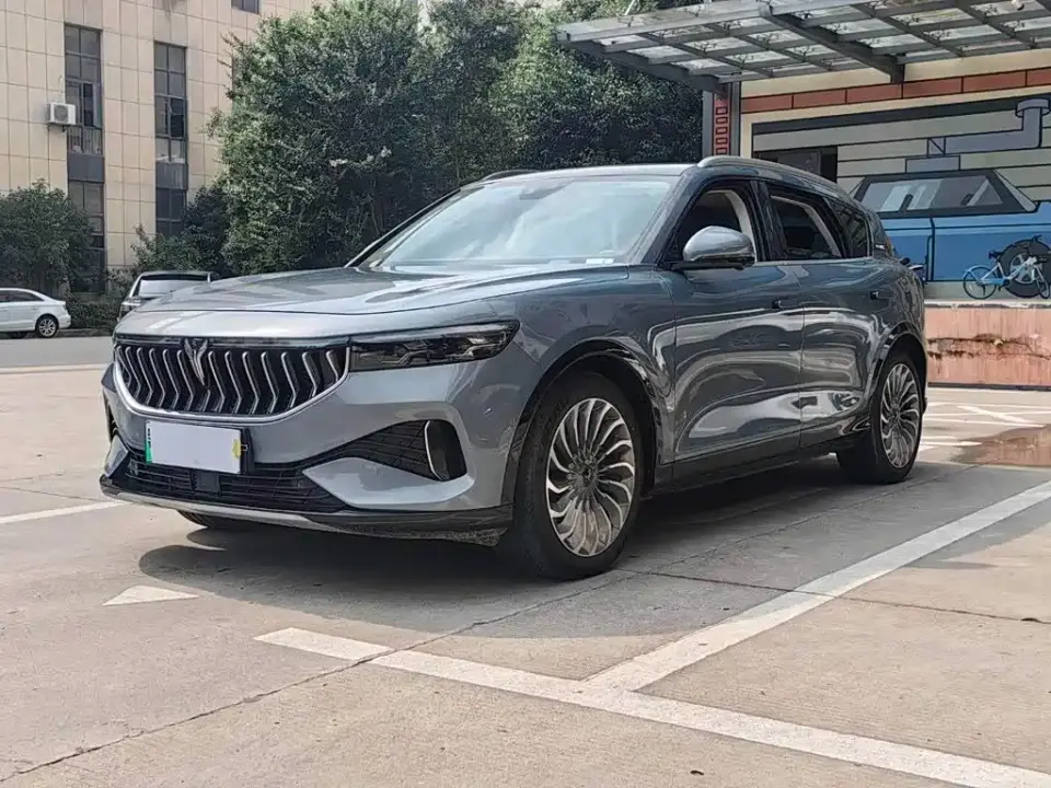 Voyah Auto VOYAH FREE AWD Standard Range Extender Exclusive Luxury Package 2021