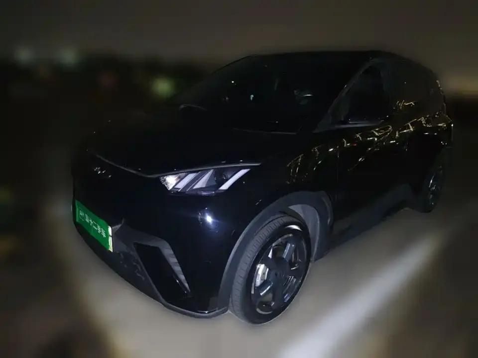 BYD Seagull Flying Edition 2023