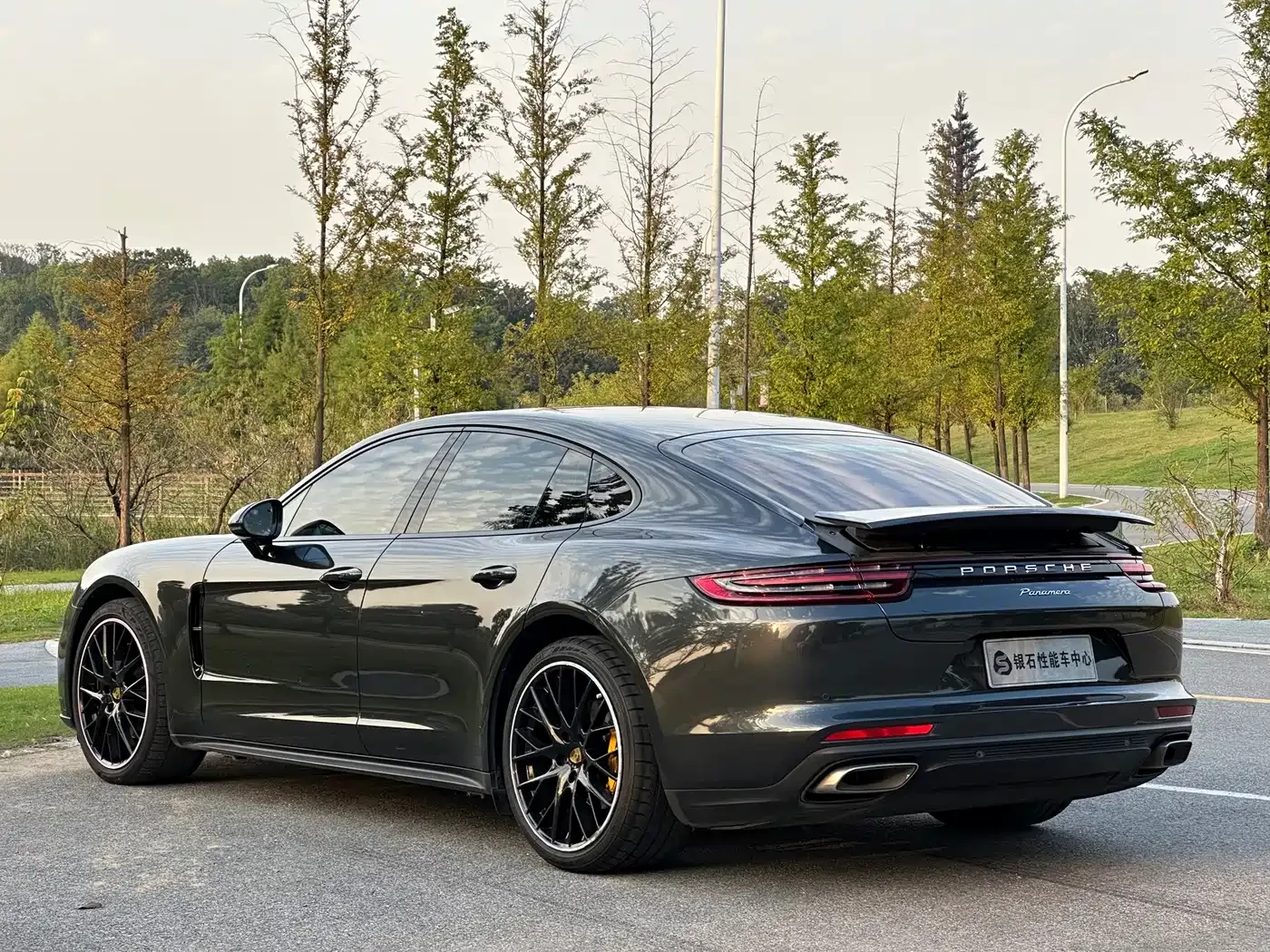 Porsche Panamera Panamera 2.9T 2020 — фото 6
