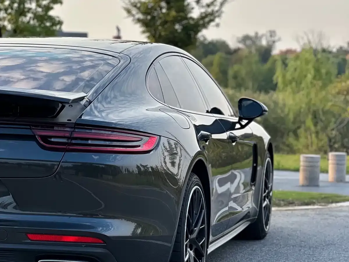 Porsche Panamera Panamera 2.9T 2020 — фото 11