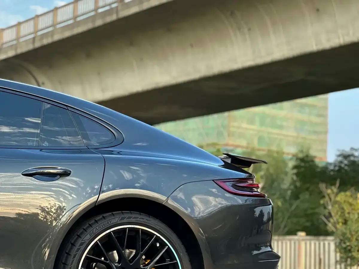 Porsche Panamera Panamera 2.9T 2020 — фото 22