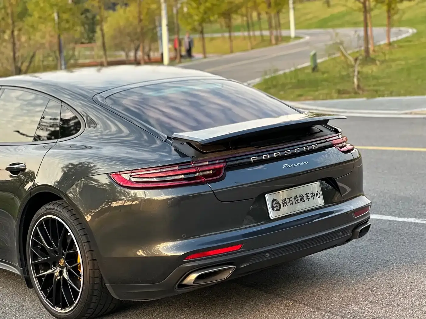 Porsche Panamera Panamera 2.9T 2020 — фото 9