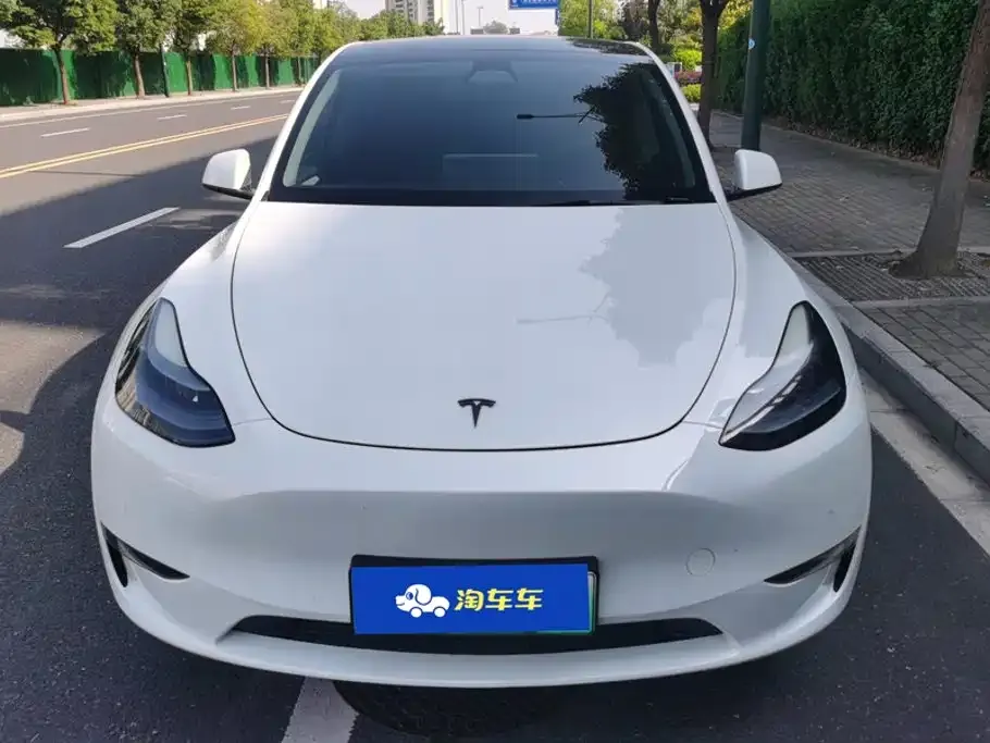 Tesla Model Y Long Range All-Wheel Drive Edition 2024 — фото 2