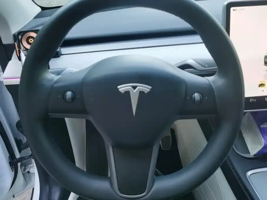 Tesla Model Y Long Range All-Wheel Drive Edition 2024 — фото 15