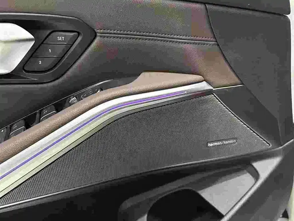 BMW 3 Series 325Li M Sport Black Night Package 2020 — фото 7