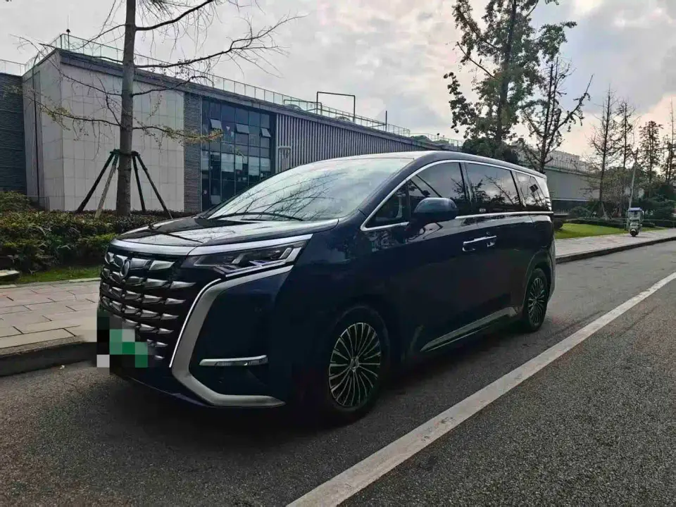 Denza D9 DM-i 970 AWD Flagship 2024