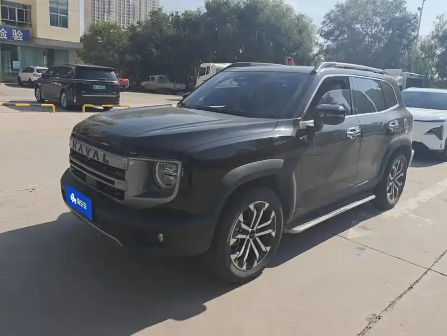 Haval Big Dog 1.5T DCT Border Collie Edition 2023