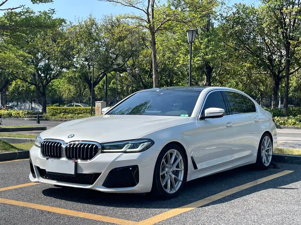 BMW 5 Series 530Li Premium Luxury Package 2021