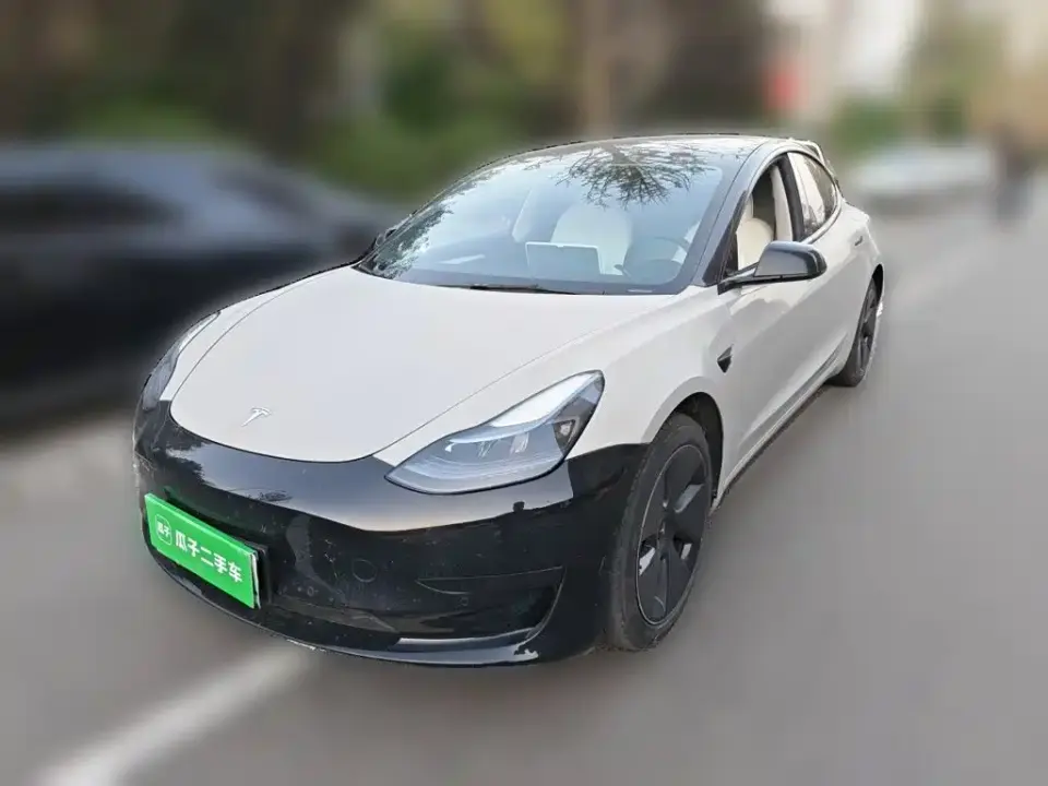 Tesla Model 3 Model Rear-Wheel Drive Version 2023