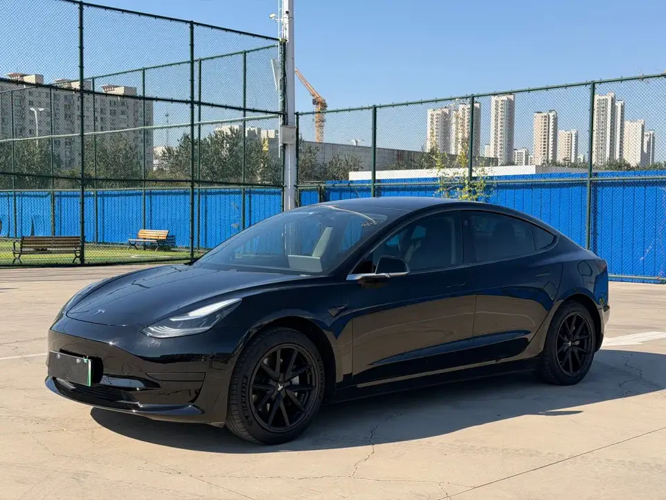 Tesla Model 3 Standard Range Rear-Wheel Drive Upgrade 2020