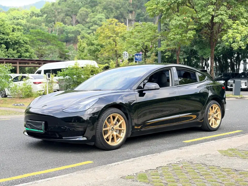 Tesla Model 3 Facelift Standard Range RWD Upgrade 3D1 2021