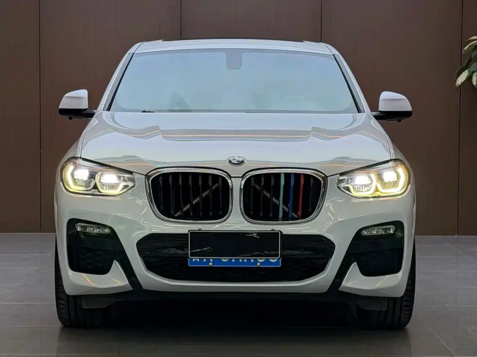 BMW X4 xDrive25i M Sport Package 2019