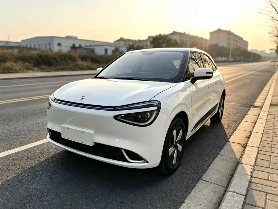 Dongfeng Yipai Nano 01 330 Youth Edition 2025