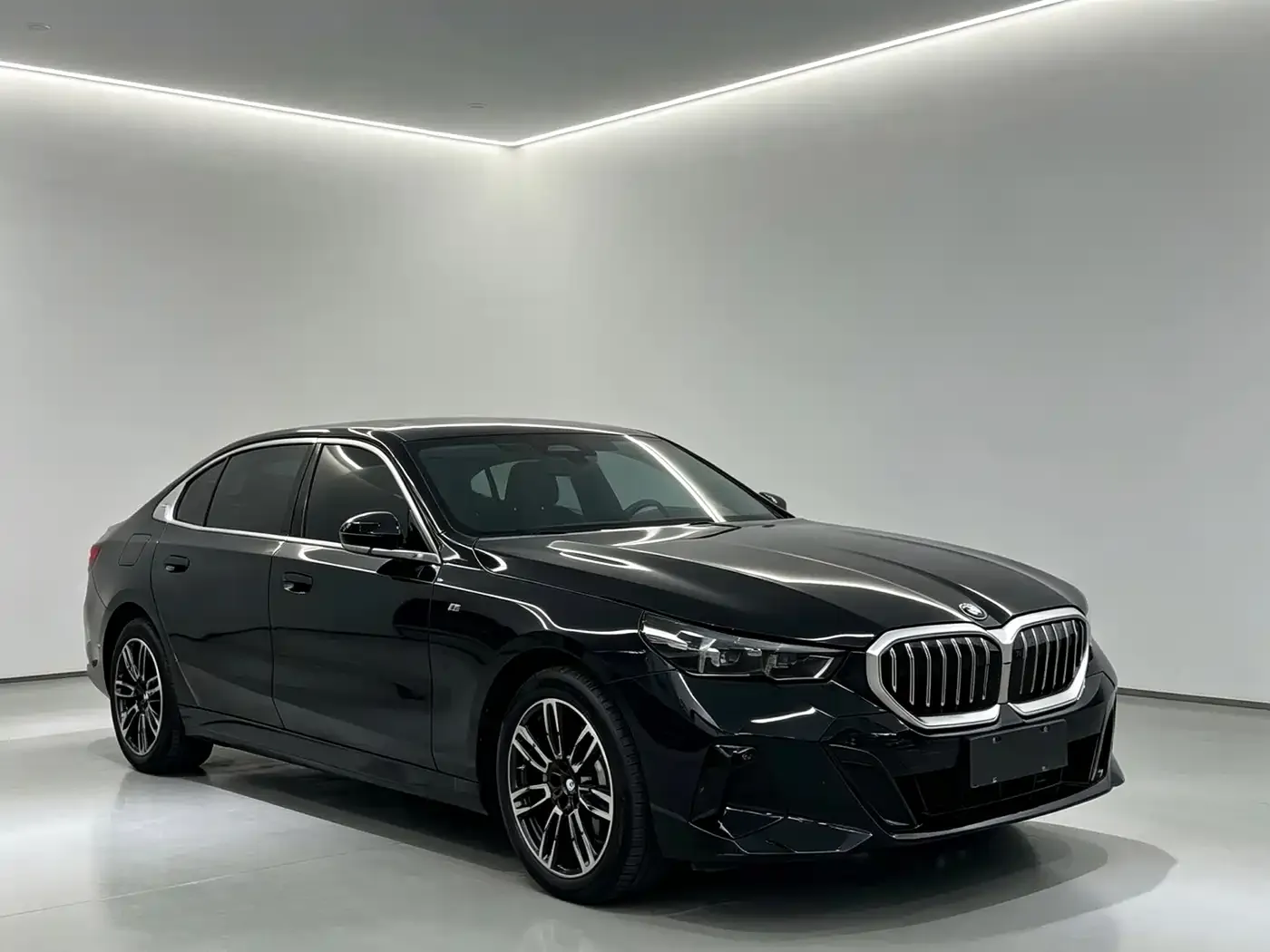 BMW 5 Series 530Li Leading M Sport Package 2025 — фото 3