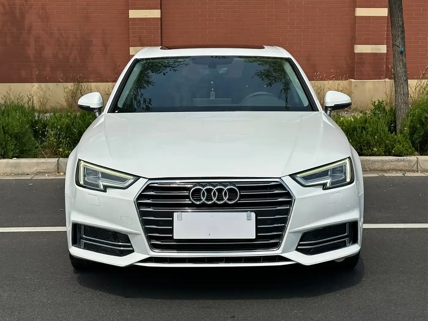 Audi A4L 40 TFSI Progressive (China VI) 2019 — фото 2