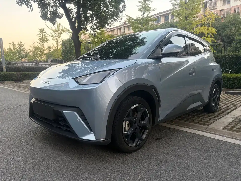 BYD Seagull Glory Edition 305km Vitality Edition 2024