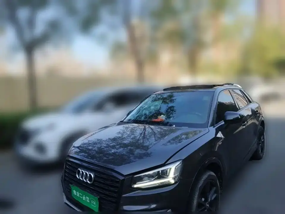 Audi Q2L 35 TFSI Launch Exclusive Edition China V 2019