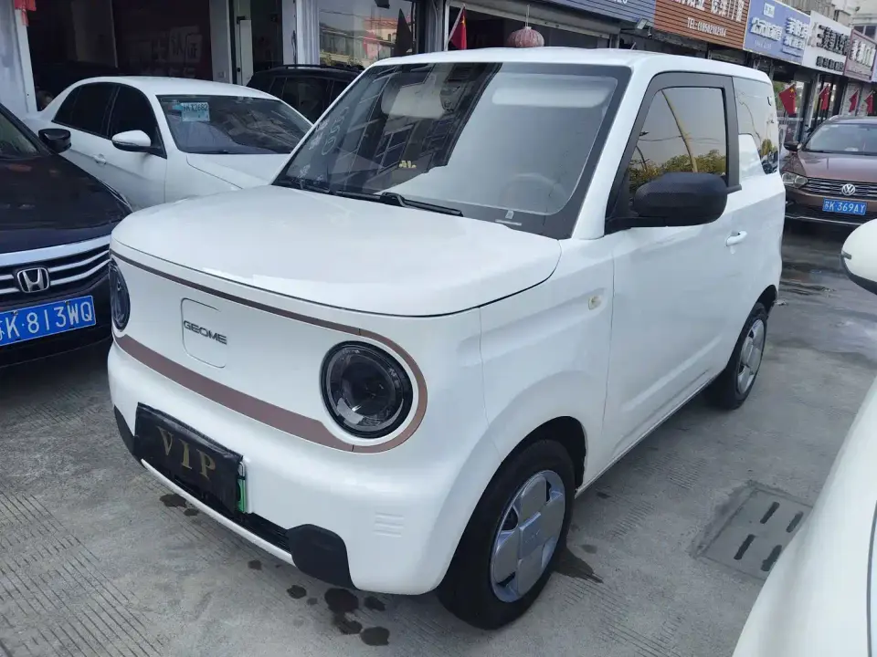 Geely Galaxy Panda Panda mini 200km Endurance Bear 2024