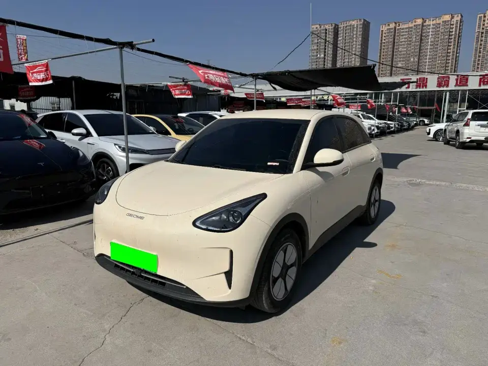 Geely Galaxy Starry Wish 310km Youth Edition 2025
