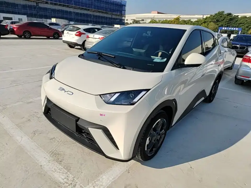 BYD Seagull Glory Edition 305km Freedom Edition 2024