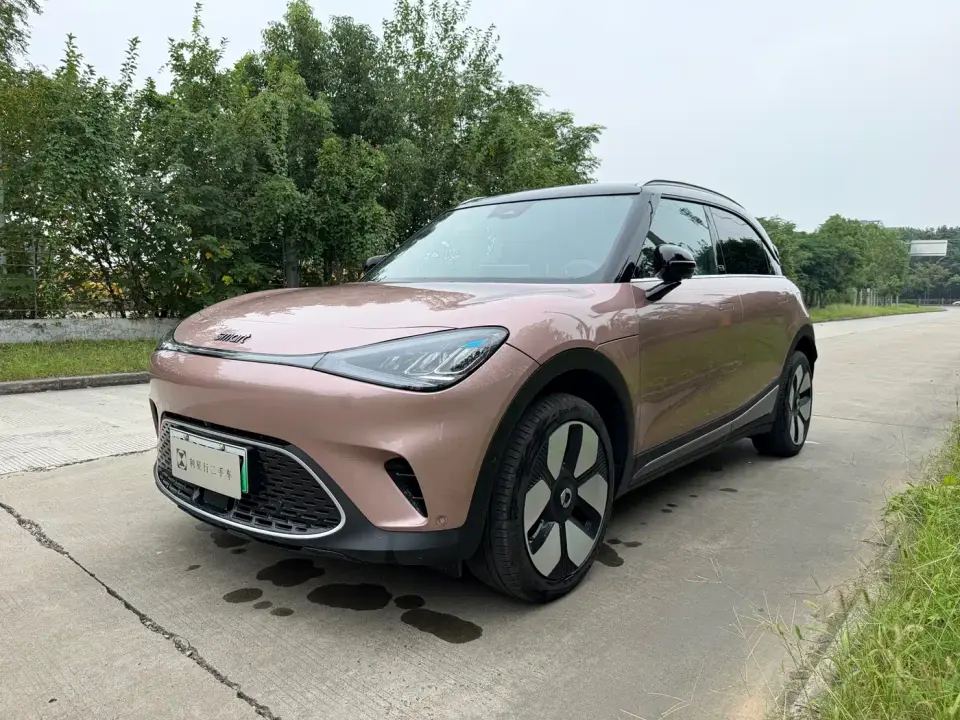 Smart Elf #1 Premium Edition 2025