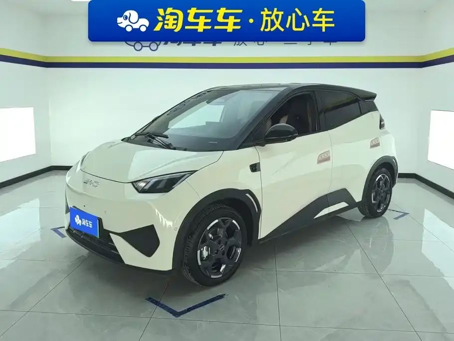 BYD Seagull Smart Drive Edition 305km Freedom Version 2025
