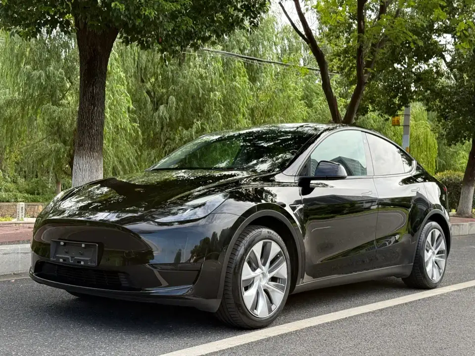 Tesla Model Y Rear-Wheel Drive Version 2022