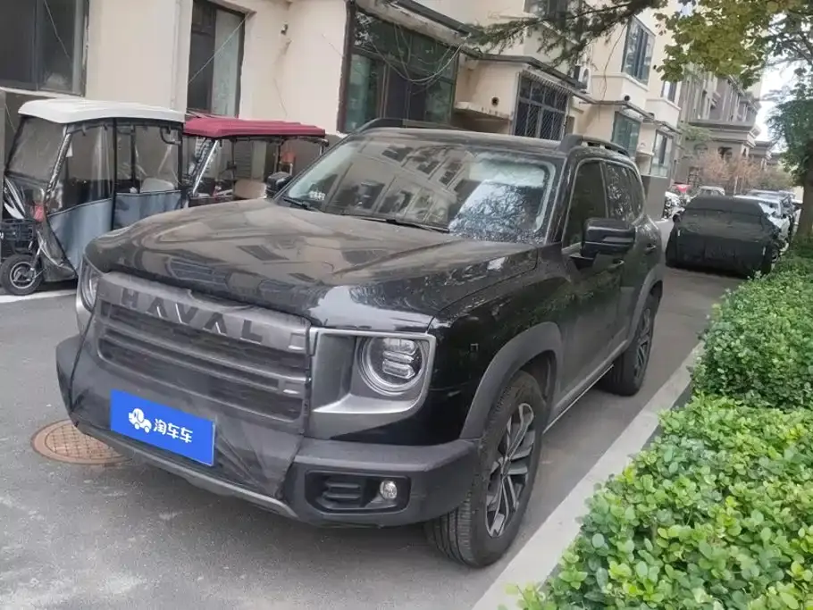 Haval Big Dog 1.5T DCT Border Collie Edition 2025