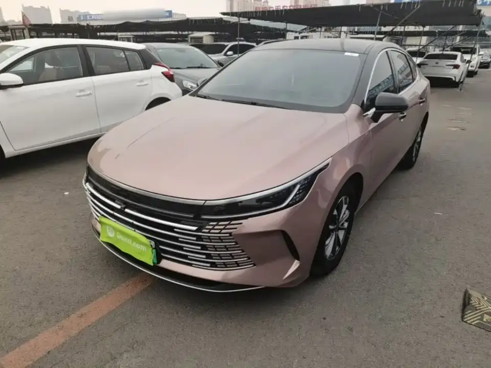 BYD Destroyer 05 Glory Edition DM-i 55KM Luxury 2024